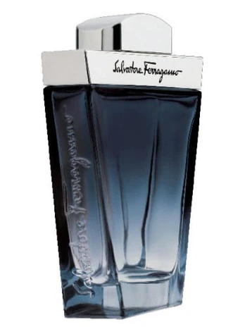 Tualetinis vanduo Salvatore Ferragamo Subtil Pour Homme, 100 ml