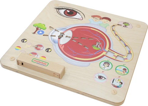 MASTERKIDZ edukacinė regos lenta