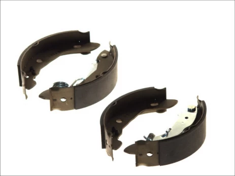 DELPHI LS1841 Brake shoe set