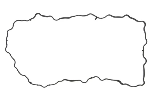 REINZ 71-12456-00 Sump gasket
