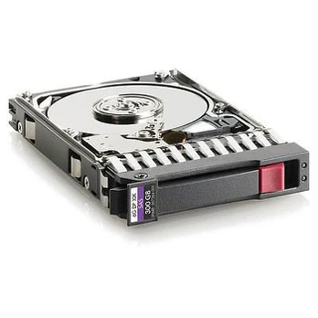 300GB 6G SAS 10K 2.5" SFF HD