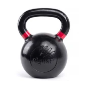 Svarstis Tiguar RAW 40kg V2 kaina