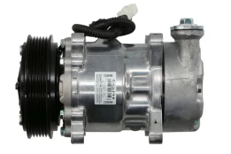 DELPHI  CS20599 Air conditioning compressor kaina