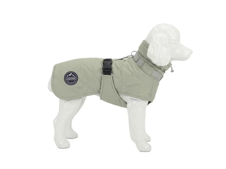Striukė šunims Carinio Alpine Thermo Mint M