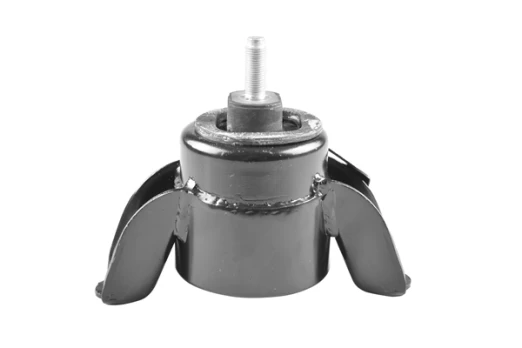 Variklio montavimas TEDGUM TED55519