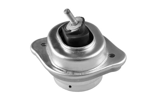 Variklio montavimas TEDGUM 00088709