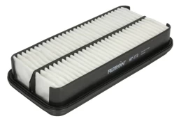 Oro filtras FILTRON AP173 kaina
