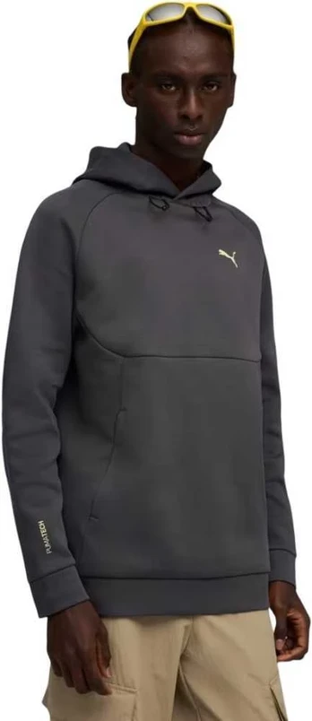 Puma Džemperis Vyrams Pumatech Graphic Relaxed Pilkas 629681 44