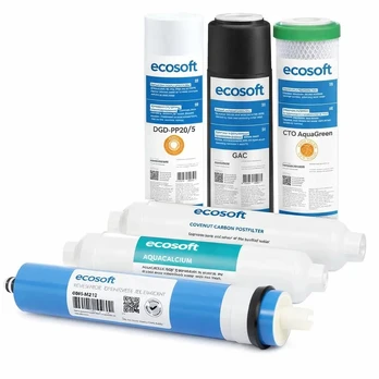 Ecosoft P’URE Balance kasečių komplektas 12 mėn.