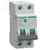Schneider įžeminimo jungiklis C 20A 2P Easy9 Pro EZ9F57220