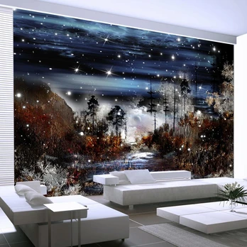 Artgeist Fototapetas - Night in the forest