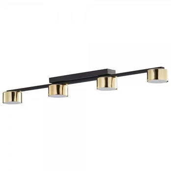 Lubinis šviestuvas TK Lighting Dallas gold 6095