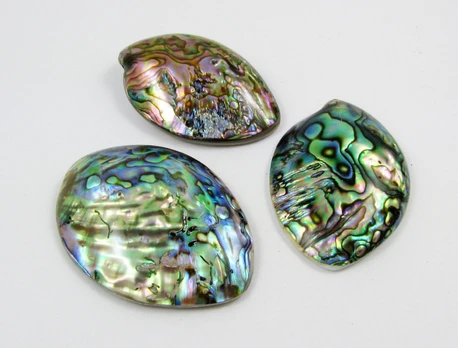 Abalone kriauklės kabošonas 52x39 mm, 1 vnt.