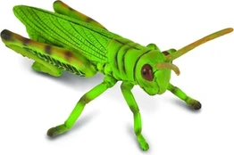Žaislinė figūrėlė Collecta Grasshopper 88352