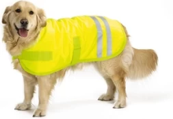 Saugos liemenė Beeztees Teddie, geltona, 50 cm kaina