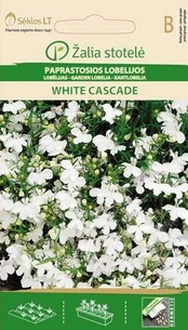 Paprastosios lobelijos White Cascade