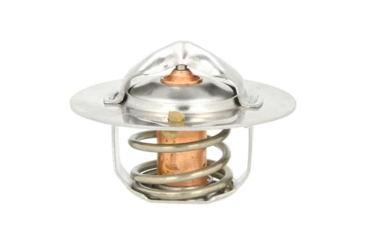 termostatas, aušinimo skystis THERMOTEC D20301TT