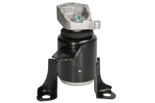Variklio montavimas DELPHI TEM278