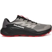 Bėgimo batai Salomon Alphaglide L48000800 Pilka