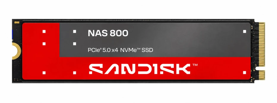 Sandisk 1.92 TB NAS 800 NVMe™ SSD SDSNP2192TAN