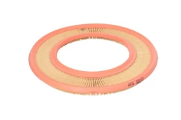 Oro filtras FILTRON AP 008 kaina