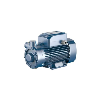 Sausai statomas horizontalus siurblys Pedrollo PQ3000 400V