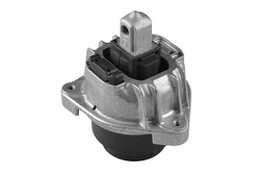 Variklio montavimas TEDGUM TED60977