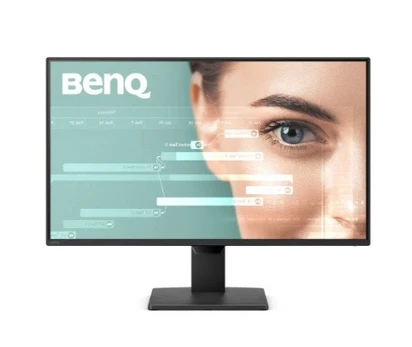 Monitorius BenQ GW2491P
