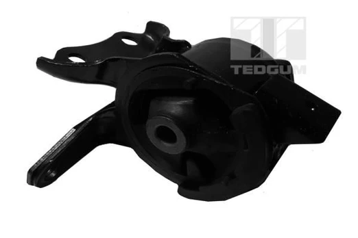 Variklio montavimas TEDGUM 00391336
