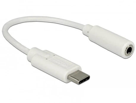 USB adapteris Delock USB-C – 3,5 mm baltas lizdas (65913)