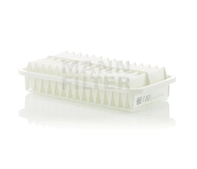 Oro filtras C2620