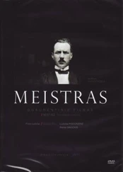 Meistras (DVD)