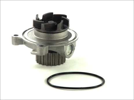 Aušinimo skysčio siurblys THERMOTEC D1A027TT
