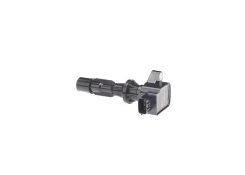 Ritė, uždegimas BOSCH 0 986 22A 202