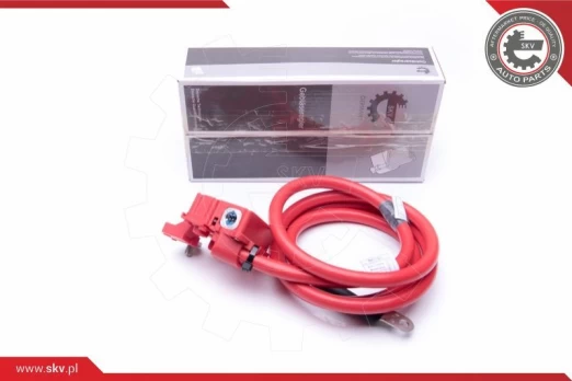 Akumuliatoriaus adapteris ESEN SKV 96SKV308