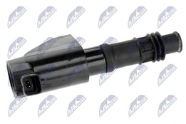 Ritė, uždegimas NTY ECZ-CT-004