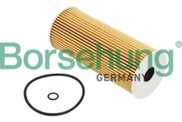 BORSEHUNG B12816 Alyvos filtras