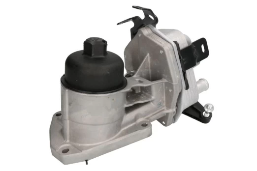 Alyvos radiatorius THERMOTEC D4I008TT