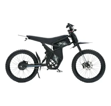 Riding Times GT73 elektrinis dviratis (20")