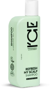 Šampūnas ICE Refresh My Scalp, 250 ml kaina