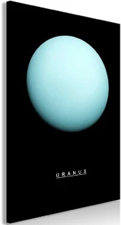 Artgeist Paveikslas - Uranus (1 Part) Vertical kaina