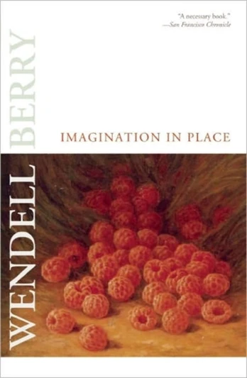 Imagination in Place