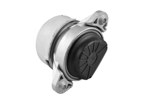 Variklio montavimas TEDGUM TED23591