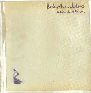 CD Babyshambles - Down In Albion