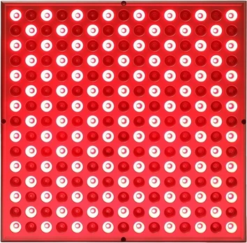 Dark Red Brand