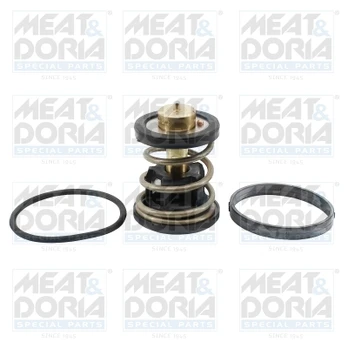 termostatas, aušinimo skystis MEAT & DORIA MD92971