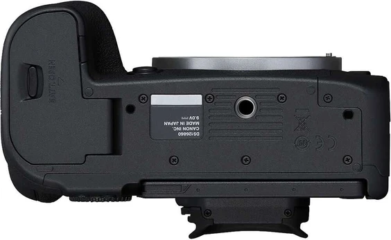 Canon EOS R6 Mark II + RF 24-240mm f/4-6.3 IS USM + Mount Adapteris EF-EOS R