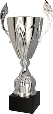 Tryumf Triumph Cup metalinis sidabras (4127E)
