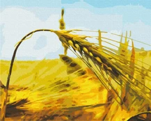Tapyba pagal skaičius. Rugių varpos