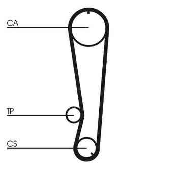 CONTI CT 788 Timing belt